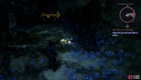 and note that new areas and treasures are now accessible in the Hossberg Wetlands.