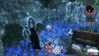 The final flower is hidden in Solitude&rsquo;s Edge.