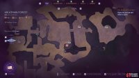 The Spirits of the Dalish side quest will give you access to the Shadowy Grove.