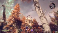 Northeast: Walk a little further forward and look up to the top of the broken pillar.