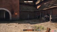 Head to the stable near the horses.
