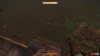 You can then find the sword by the stairs in the pond.