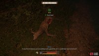You’ll find some signs of Mutt just west of Bozhena’s Hut.