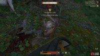 You only need to kill one dog to fulfill the objective.