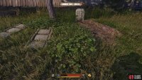 Then dig the grave near the widow’s location and place the remains to end the Task.