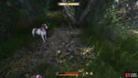 You only need to take the sword that is sticking out of the ground.