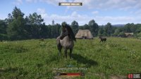 Take a gander at the grey nag in the horse pen,