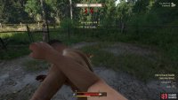 Defeat all the Unarmed contenders during three related quests to unlock the “Henry the Bruiser” achievement.