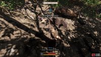 to find a shallow grave that has been disturbed by a pig.