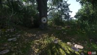 Search the woods near the road connecting Tachov and Troskowitz to find a target set up on a tree, complete with a bow and some arrows.