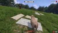 With Alshik out of the picture you can drive the Tachovite’s sheep over their laundry,