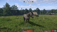 Search the horse pen to spot a familiar looking mare…