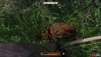 If Mutt or your arrows bring down your target, butcher it for meat and potentially other goods.