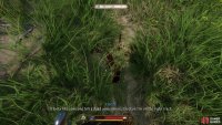 or follow some blood trails into the forest.