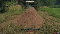 an impressive ant hill,