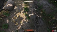where you’ll find it growing, free to harvest.