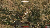 You can find poppy plants and thistle in the fields west of Troskowitz,