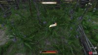 Comfrey must be found elsewhere - the herb garden outside of the alchemist’s shop in Troskowitz is an easy spot to get some.