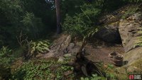 You want to head north and northeast to find a stream, where the letter can be found in a tree (center left),