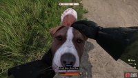 and praise Mutt to raise your Houndmaster skill EXP quickly.