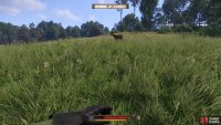 but sneaking up on game is safer and just as effective at leveling Stealth.
