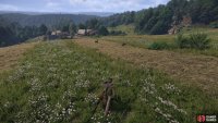 You can also gain some minor Survival EXP by finding natural points of interest,