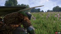 You can level up Survival by picking herbs,