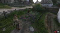 grab the Chamomile and Sage from the herb garden nearby,