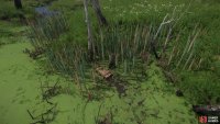 all things considered, this submerged chest is harder to spot than the tree marked on the map,
