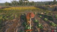 Near the entrance, you’ll find Peter working away in the cabbage patch.