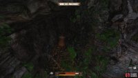 Here, you’ll find a hollowed out tree hiding a container.