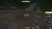 Have Mutt track Zdena’s scent on the scarf when you reach the target area.
