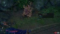 Collect this item near the chasm for the quest.