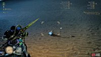 Once you’ve knocked it down, equip the Capture Net and quickly scoop it up.