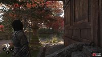 From the pagoda’s doors, look northeast to spot a white dot,