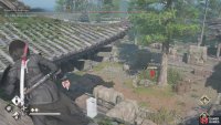Be careful of the Shinobi hiding in the bushes in the middle area of the temple grounds.