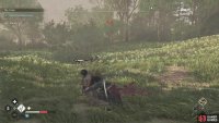 Attacking enemies will cause the Bleed to build up from the weapon.
