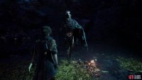 Clear the Flying Waters dungeon and the Curator will show up at your camp,