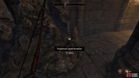 Grab Purgeblood Salts to cure your condition.