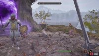 When this NPC starts attacking, you don’t have to do anything, as the guard handles it.