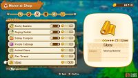 As you progress through the story, you&rsquo;ll be able to purchase most of the items.