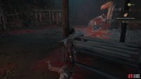 One of the key items in Chapter 2 is the Mad Scientist Notes. Yo can give them to the Taoist to get some lore dump. Image via Gamer Guides / 505 Games.
