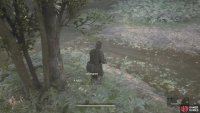 You&rsquo;ll need a Hornet&rsquo;s Nest for a later fight, if you wish to get a trophy/achievement.