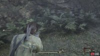 There are two new snakes that you can collect at the beginning of this area.