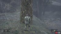 Climb this tree here and hang from the wire it&rsquo;s connected to.