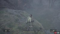 This will allow you to reach the ledge with the Crocodile Cap.
