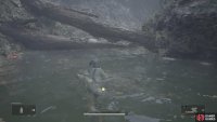 There&rsquo;s a log blocking this path, but you can swim underneath it.