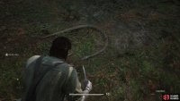 You can first find the Giant Anaconda around the tree you climb in Dremuchij South, during Virtuous Mission.