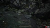 If you search the tall grass in the main area, you should be able to find an Otton Frog.