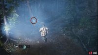 Follow the X&rsquo;s marked on the trees to find the Medkit.